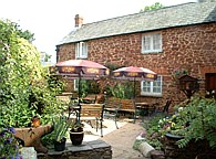 patio-garden (22K)